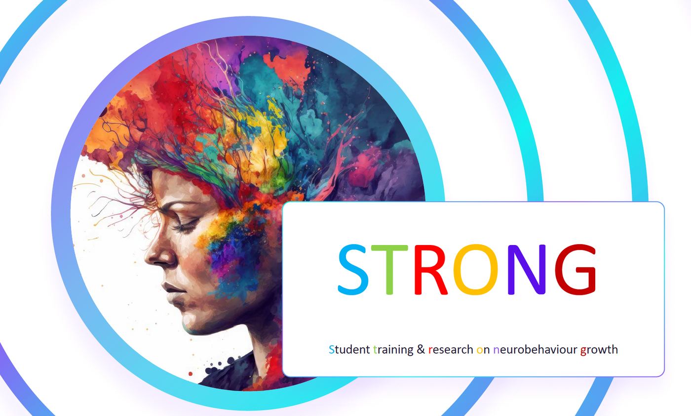 STRONG Workshop Keyvisual
